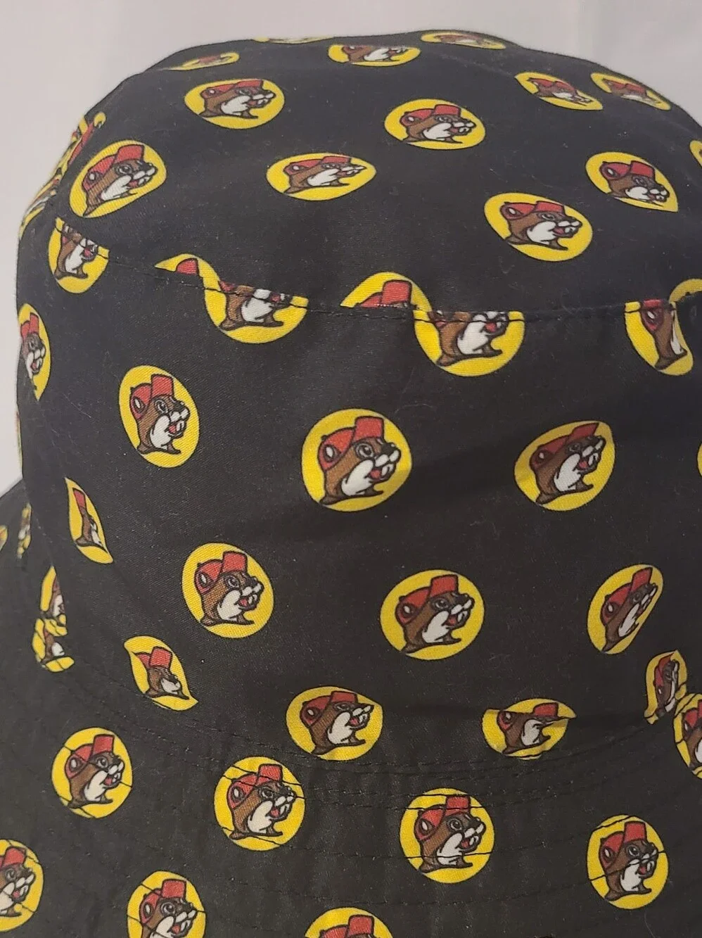BUC-EES great any